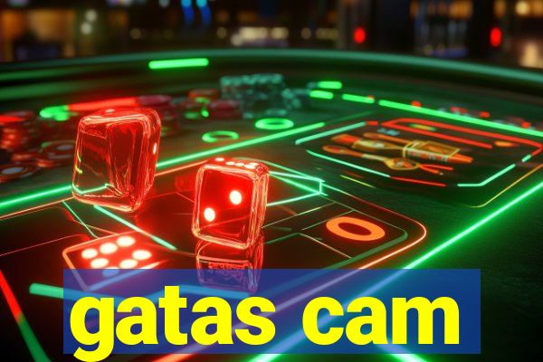 gatas cam